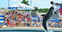 Stire din Social : Tristeţe mare la Delfinariul din Constanţa! A murit Chen Chen!