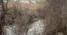 Stire din Eveniment : Anchetă după moartea celor doi frați înecaţi în pârâu. Familia a mai pierdut doi copii în trecut