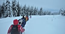 Stire din Eveniment : 5 ani de la catastrofa aviatică din Apuseni. Doi morți, zeci de întrebări fără răspuns. "Un dosar ținut sub cheie…"