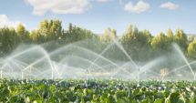 Stire din Economie : Ciolacu: "Numărul hectarelor irigate a crescut acum la 1,6 milioane"
