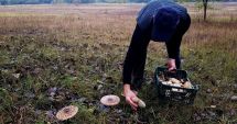 Stire din Eveniment : A ieșit la cules de ciuperci în pădure, dar a dat peste un obiect bizar. Iată ce a descoperit bărbatul