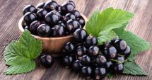 Stire din Sănătate : Coacăzele, secretul natural pentru un ten luminos