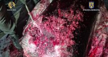 Stire din Eveniment : Trimiși în judecată pentru că au ascuns cocaină în butoaie cu pulpă de fructe