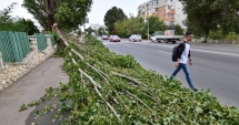 Stire din Social : Cod galben de vijelii și ploi, la Constanța. Unde puteți suna în caz de urgență