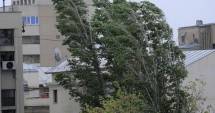Stire din Social : Anunț de ultimă oră de la meteo. COD GALBEN DE VÂNT ȘI VREME REA