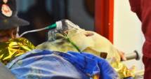 Stire din Eveniment : TRAGEDIA DIN CLUBUL "COLECTIV". ÎNCĂ UN RĂNIT GRAV, TRANSFERAT LA VIENA