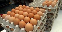 Stire din Economie : Comerțul cu ouă de Paști a luat-o razna! Iată ce nereguli a găsit Protecția Consumatorilor