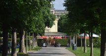 Stire din Economie : Comisia Europeană vrea împăduriri masive în blocul comunitar