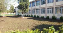 Stire din Cultură-Educație : "Comoara verde de lângă noi". Spațiu de predare în aer liber, la Școala nr. 22