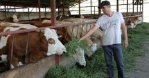 Stire din Economie : Compensații bănești pentru fermierii și  IMM-urile agroalimentare afectate de criza Covid