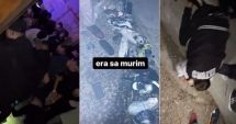 Stire din Eveniment : Zeci de tineri s-au călcat în picioare la un concert:"Era să murim! A fost ca la Colectiv"
