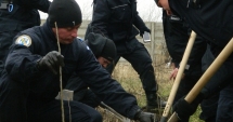 Stire din Eveniment : Constanța, împădurită de jandarmii Grupării Mobile "Tomis"