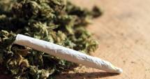 Stire din Eveniment : Constănțean arestat pentru trafic de cannabis