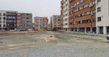 Stire din Social : Constănțenii ies la plantat de copaci! 20 de platani donați de un avocat