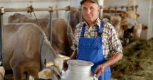 Stire din Economie : Consultare publică privind politica agricolă comună