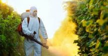 Stire din Economie : Consumul de pesticide din agricultura românească