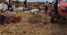 Stire din Social : Primăria Fântânele, amendată de Garda de Mediu, pentru abandonarea deşeurilor