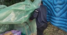 Stire din Social : Poliţia locală este cu ochii pe ei. Sancţiuni pentru constănţenii indisciplinaţi