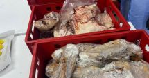 Stire din Social : Controale de amploare în țară, amenzi de peste 900.000 de lei. Ce nereguli grave au găsit comisarii ANPC