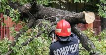 Stire din Social : Copac căzut pe o mașină, în Constanța. Intervin pompierii