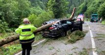 Tragedie pe Transalpina. O femeie a murit după ce un copac a căzut peste un autoturism