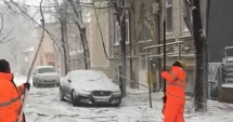 Stire din Social : COD ROȘU DE VISCOL LA CONSTANȚA! Zeci de copaci căzuți, în tot orașul. Echipele intervin cu greu