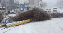 Stire din Social : COD ROȘU DE VISCOL LA CONSTANȚA! Dezastru în oraș: stâlpi și copaci căzuți!