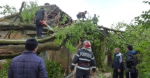 Stire din Eveniment : Copaci doborâți de vijelii, la Cernavodă și Mangalia