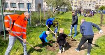 Stire din Social : Străzile din municipiul Constanţa sunt înfrumuseţate cu 300 de copaci