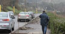 Stire din Social : Au fost scoși copacii de pe valea Portului. Ce vrea să facă Primăria Constanța acolo