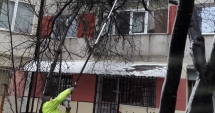 Stire din Social : Copaci căzuți la Constanța! Se intervine în mai multe zone ale municipiului