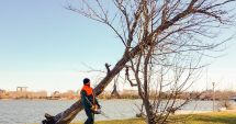 Stire din Social : Copacii rupți și înclinați în urma furtunii, tăiați în parcul Tăbăcărie