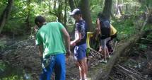 Stire din Cultură-Educație : Elevii, cot la cot  cu voluntarii, plantează copaci