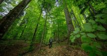 Stire din Actualitate : "Ai crezut că glumesc". I-a tras fiului de 9 ani un glonț în cap, apoi i-a ascuns cadavrul într-o pădure