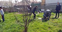 Stire din Social : Proiectul "Un pomișor pentru viitor" a ajuns la cea de-a doua ediție