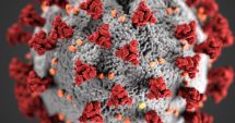 Stire din Social : Coronavirus Constanța: Date actualizate. Câte persoane se află în carantină la domiciliu