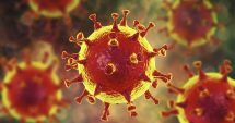 Stire din Social : Coronavirus: Câte persoane sunt în carantină în județul Constanța