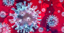 Stire din Social : Coronavirus în județul Constanța: Câte persoane se află în carantină la domiciliu