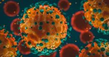 Stire din Social : Coronavirus Constanța: Câte persoane au fost infectate
