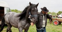 Stire din Eveniment : Crești animale  în curte? Ai putea fi sancționat  de polițiștii locali
