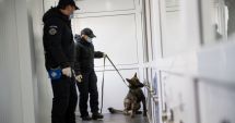 Stire din Actualitate : Un deţinut condamnat pentru crimă a evadat când urma să fie vaccinat