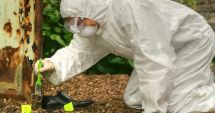 Stire din Eveniment : Un bărbat și-a înjunghiat iubita cu foarfeca într-un camping din Eforie Nord