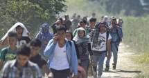 Stire din Actualitate : Criza imigranților. Ungaria a luat o decizie majoră în privința graniței cu Serbia