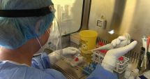 Stire din Economie : Criza sanitară a umplut conturile laboratoarelor de analize