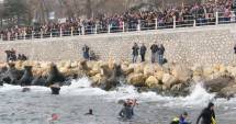 UPDATE / De Bobotează, zeci de bărbați vor înota după cruce