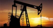 Stire din Economie : Cum au evoluat resursele energetice în 2014