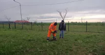 Stire din Politică-Administrație : Administrația locală din Cumpăna continuă dezvoltarea proiectului Parcul Verde