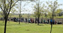 Stire din Politică-Administrație : Primăria Cumpăna, acţiune de plantare a arborilor în localitate. „Vrem o comună mai verde!”