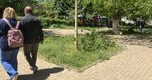 Stire din Politică-Administrație : Cum puteţi sesiza Primăria Constanţa să ridice deşeurile vegetale