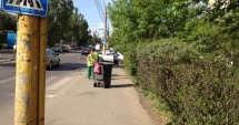 Stire din Social : Curățăm Constanța noastră!  Platformele de colectare  a deșeurilor, igienizate și reparate
